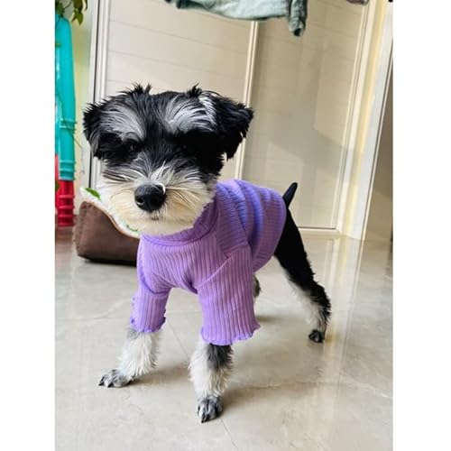 TIANZO Pet Bottoming Shirt Teddy Warmer Pullover Welpen einfarbige Kleidung gestrickte Haustier-Pullover Haustier-Hundekleidung von TIANZO