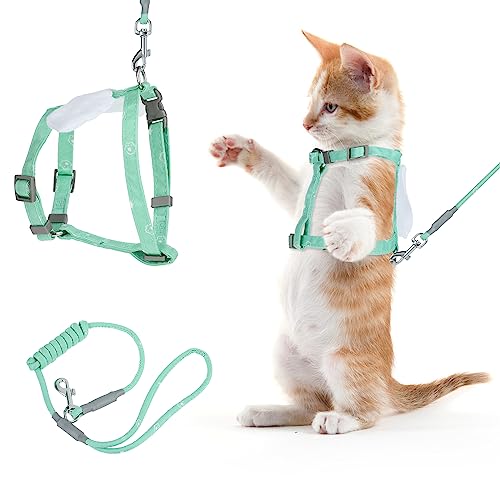 TIESOME Katzengeschirr mit Leine und Halsband Set, einstellbares Kätzchengeschirr mit Farbverlauf, ausbruchsicheres Geschirr mit Leine für Kätzchen beim Spaziergang im Freien (Grün) von TIESOME