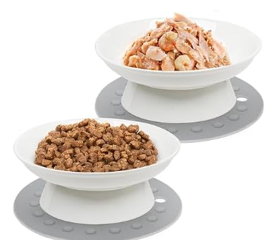 TIGOADT 2 Stück Katzennäpfe Erhöht, 15,3 cm Breite Futternäpfe Katze Keramik, Fressnäpfe Katze Flach mit Ständer, Anti-Erbrechen Katzenschüsseln für Kätzchen und ältere Katzen (Weiß) von TIGOADT