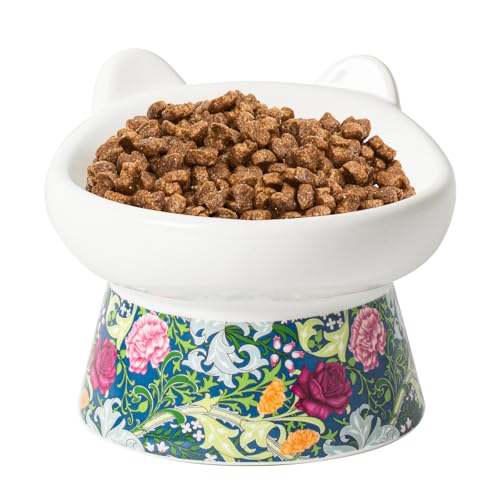 TIGOADT Katzennapf Erhöht Keramik, Breite und Geneigte Futternapf Katze mit Ständer, Anti Erbrechen Flache Fressnapf Katze, Katzenschüssel für Kätzchen und ältere Katzen (Blumenmuster) von TIGOADT
