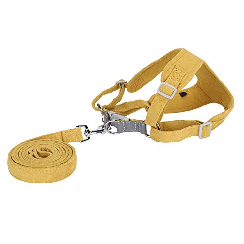 Hundegeschirr, Hundegeschirr und Leine-Set, Hundegeschirr Zum Spazierengehen, Runnin Hundegeschirr, Kleines Hundearbeitstraining, Leicht zu Kontrollierende Haustierweste mit Seil Hundegeschirr, Hundegeschirr und Leine-Set, Hundegeschirr Zum Spazierengehen, Runnin Hundegeschirr, Kleines Hundearbeitstraining, Leicht zu Kontrollierende Haustierweste mit Seil von TIKATARER