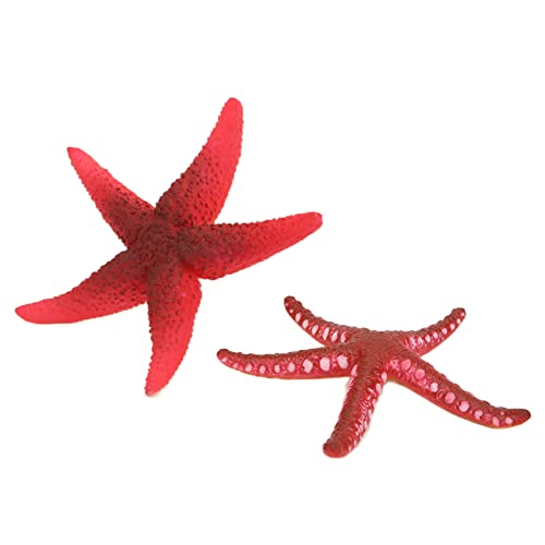 TIKATARER Seesterndekor, Seestern Aquarium Dekoration Star Fisch für Handwerkssimulation Luminöse Seesternverzierung Ozean Ornamente für Fischtank Home Hochzeitstisch Dekor DIY Handwerk TIKATARER Seesterndekor, Seestern Aquarium Dekoration Star Fisch für Handwerkssimulation Luminöse Seesternverzierung Ozean Ornamente für Fischtank Home Hochzeitstisch Dekor DIY Handwerk von TIKATARER