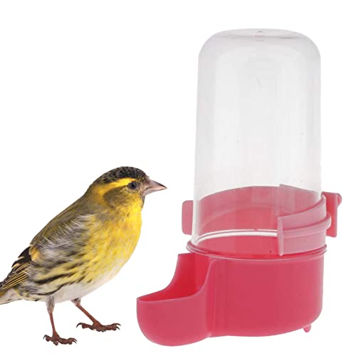TILEZE Vogelfutterstation | Automatische Vogelfutterstation und Tränke für Vogelkäfig, 200 ml – Vogelfutterstation für Papageien, Futterstation zum Aufhängen, Zubehör für Vogelkäfig TILEZE Vogelfutterstation | Automatische Vogelfutterstation und Tränke für Vogelkäfig, 200 ml – Vogelfutterstation für Papageien, Futterstation zum Aufhängen, Zubehör für Vogelkäfig von TILEZE