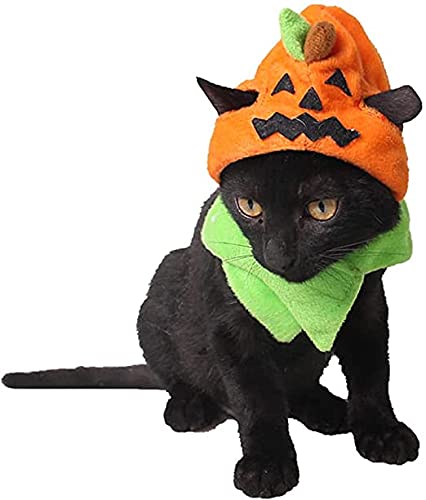 TINAYAUE Haustier-Kürbis-Hut, Halloween-Kopfschmuck, verstellbar und waschbar, bequem, Winterkostüme mit Welpen und Katze von TINAYAUE