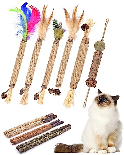 TINDTOP Silvervine Kauspielzeug für Katzen, Packung mit 12 natürlichen Kauspielzeugen für Katzenminze, Zahnpflege, Matatabi, Steigerung des Appetits, beruhigt das Verlangen TINDTOP Silvervine Kauspielzeug für Katzen, Packung mit 12 natürlichen Kauspielzeugen für Katzenminze, Zahnpflege, Matatabi, Steigerung des Appetits, beruhigt das Verlangen von TINDTOP