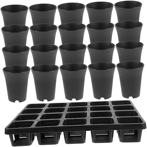 TINEASUR 1 Satz Sukkulenten-übertopf Kleine Töpfe Für Pflanzen Seeds Aussaattopf Flaschengarten Blumentöpfe Für Die Gärtnerei Cannabissamen Gärtnerei Handelstöpfe Wachsende Schalen TINEASUR 1 Satz Sukkulenten-übertopf Kleine Töpfe Für Pflanzen Seeds Aussaattopf Flaschengarten Blumentöpfe Für Die Gärtnerei Cannabissamen Gärtnerei Handelstöpfe Wachsende Schalen von TINEASUR