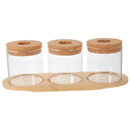 TINEASUR 1 Set Hydrokulturpflanze Glasflasche Tischvase Wasserpflanzer Hydrokultur Innengarten Blumenpflanze Terrarium Mit Bambusständer Glaspflanzer Kreative Hydrokulturvase von TINEASUR
