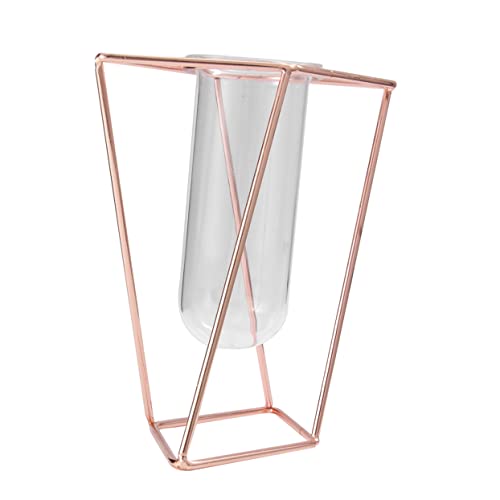 TINEASUR 1Stk Blumenröhre valwntinstagsgeschenk pflanzgefäße dekoringe vases Terrarium nebler Pflanzen klarer Blumentopf geometrischer Blumentopf Pflanzgefäß mit Metallrahmen Golden TINEASUR 1Stk Blumenröhre valwntinstagsgeschenk pflanzgefäße dekoringe vases Terrarium nebler Pflanzen klarer Blumentopf geometrischer Blumentopf Pflanzgefäß mit Metallrahmen Golden von TINEASUR