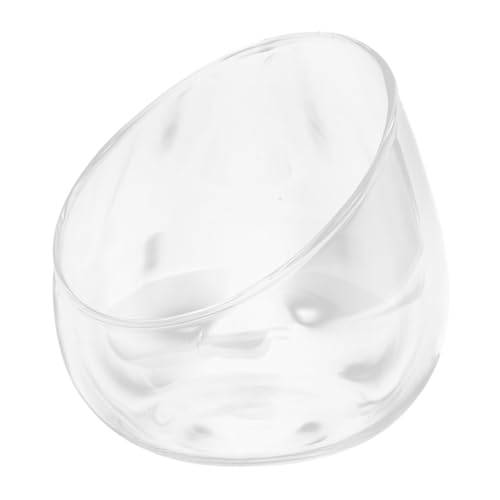 TINEASUR 1stk Ökologisches Flaschengeschenk Gläser Sukkulenten-übertopf Mikro-landschaftsbehälter Winzige Behälter Mini-Aquarium Krug Sukkulenten Pflanzen Terrarienflasche Transparent TINEASUR 1stk Ökologisches Flaschengeschenk Gläser Sukkulenten-übertopf Mikro-landschaftsbehälter Winzige Behälter Mini-Aquarium Krug Sukkulenten Pflanzen Terrarienflasche Transparent von TINEASUR