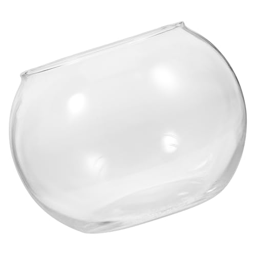 TINEASUR 2 Stück Runde DIY Glasflaschen Dekorative Glasvase Für Mikro Landschaften Ökologisches Terrarium Ideal Für Moos Und Pflanzen Transparente Glasbehälter Für Zuhause Und von TINEASUR
