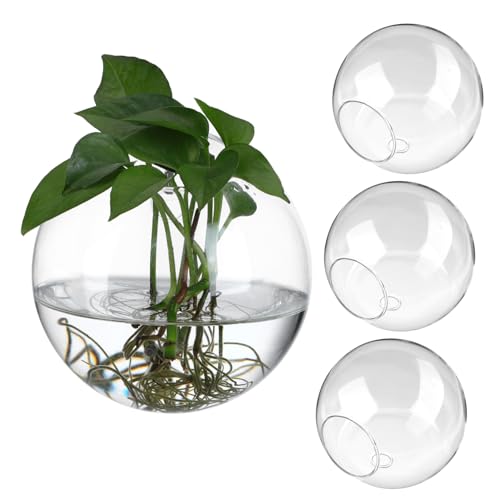 TINEASUR Pflanzgefäß Zum Aufhängen An Der Terrarium 4 Stück Glas Anzuchtstation Wasserpflanzenhalter Elegante Wanddekoration TINEASUR Pflanzgefäß Zum Aufhängen An Der Terrarium 4 Stück Glas Anzuchtstation Wasserpflanzenhalter Elegante Wanddekoration von TINEASUR