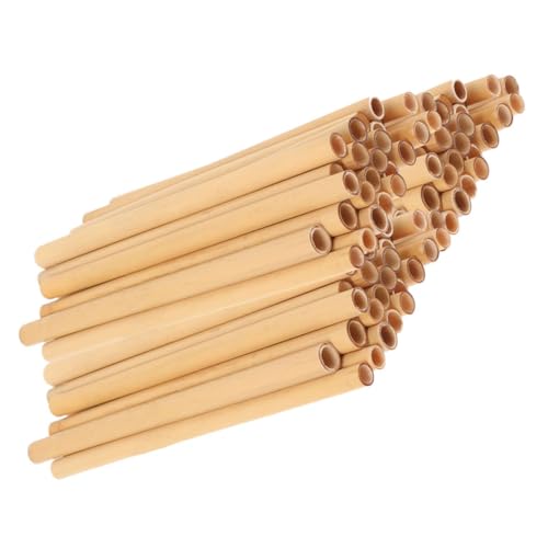 TINEASUR 50 Stück Natürliche Schilfrohr Bienen Nist Röhren Langlebige Ersatz Nesting Tubes für Imker Kompakte Bienenhaus Nachfüllröhrchen Sicher und Einfach zu Handhaben Geeignet für Garten TINEASUR 50 Stück Natürliche Schilfrohr Bienen Nist Röhren Langlebige Ersatz Nesting Tubes für Imker Kompakte Bienenhaus Nachfüllröhrchen Sicher und Einfach zu Handhaben Geeignet für Garten von TINEASUR