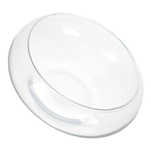 TINEASUR Glasfarbe Pflanzer Topfglas Sukkulenten Topf Kleiner Blumenopf Kleiner Pflanzgefäß Behälter Klarer Fischschale von TINEASUR