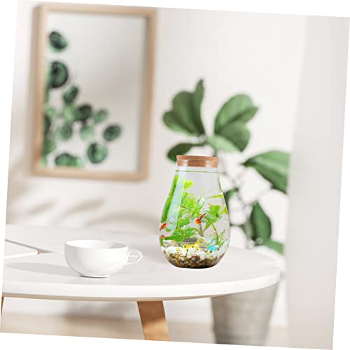 TINEASUR Micro Landschaft Glasflasche mit Holzstopfen Transparente Ökologische Pflanzstation für Hydroponik Mooskugeln und Pflanzenflaschengarten Dekoratives DIY Gewächshaus für Innenräume TINEASUR Micro Landschaft Glasflasche mit Holzstopfen Transparente Ökologische Pflanzstation für Hydroponik Mooskugeln und Pflanzenflaschengarten Dekoratives DIY Gewächshaus für Innenräume von TINEASUR