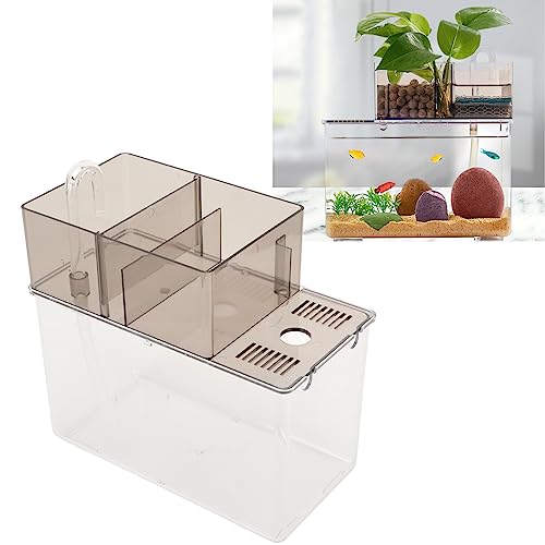Betta-Aquarium, Persönlichkeit, Kreatives Transparentes Glas-Aquarium, Aquarium, Hydrokulturpflanze, Goldfisch-Aquarium, Fischschale, Aquarium-Starter-Kits, Fischschale für Betta-Fische, Schildkröten, Betta-Aquarium, Persönlichkeit, Kreatives Transparentes Glas-Aquarium, Aquarium, Hydrokulturpflanze, Goldfisch-Aquarium, Fischschale, Aquarium-Starter-Kits, Fischschale für Betta-Fische, Schildkröten, von TITA-DONG