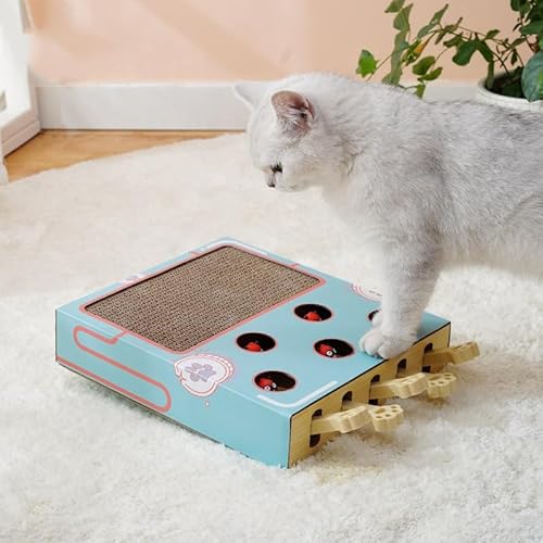 Katzen-Anreicherungsspielzeug für Hauskatzen, Whack A Mole-Spiel, Katzen-Puzzlespielzeug, Sichere Lustige Box mit Pfotenkratzer, Interaktive Box Zum Fangen von Mäusen, Katzen-Puzzlespielzeug(Blau) von TITA-DONG