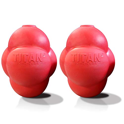 TITAN Busy Bounce, Tough Durable Treat Dispensing Dog Toy with Unpredictable Bounce – for Medium Dogs, 15-35 lb - Made in USA (2 Pack) von TITAN