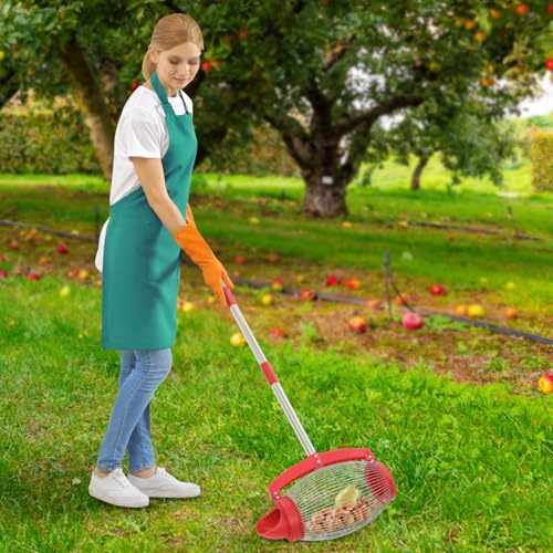TIXBYGO Obstsammler & Nusssammler mit Teleskopstange & seitlicher Öffnung, Edelstähle Rollsammler für Walnüsse, Äpfel, Eicheln, Kastanien & mehr, Kugelpflücker für Golf- und Tennisbälle TIXBYGO Obstsammler & Nusssammler mit Teleskopstange & seitlicher Öffnung, Edelstähle Rollsammler für Walnüsse, Äpfel, Eicheln, Kastanien & mehr, Kugelpflücker für Golf- und Tennisbälle von TIXBYGO