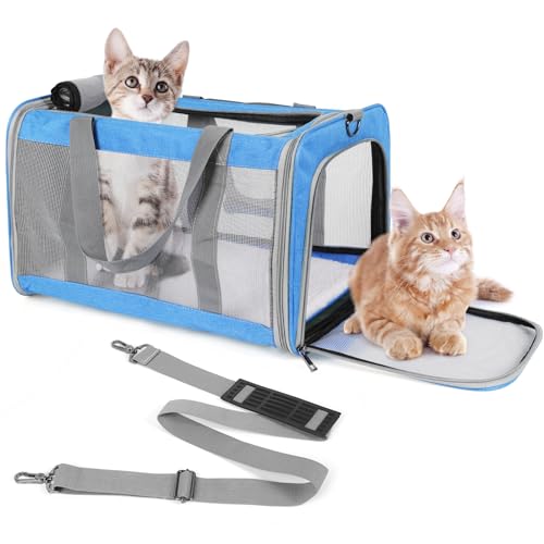 TIYOLAT Tragetasche für große Katzen mit einem Gewicht von 9 kg, faltbare Tragetasche für große Katzen oder 2 Kätzchen, weiche Seiten, Welpen-Tragetasche mit stabilem Transportgurt, ausreichende TIYOLAT Tragetasche für große Katzen mit einem Gewicht von 9 kg, faltbare Tragetasche für große Katzen oder 2 Kätzchen, weiche Seiten, Welpen-Tragetasche mit stabilem Transportgurt, ausreichende von TIYOLAT