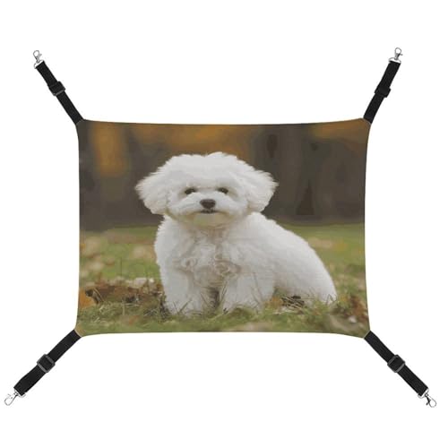 TKJMCSW Bichon Frisé-Hängematte für Hunde und Katzen, Katzenhängematte für Käfig, Ratten, Frettchen, Katzenhängematte für große Katzen, hängendes Katzenbett, Katzenhängematte, Bett, von TKJMCSW