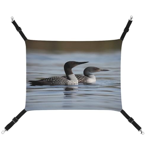TKJMCSW Loon Birds Katzenkäfig-Hängematte Katzenhängematte für Käfig Rattenhängematte Frettchen Hängematte Katzenhängematte für große Katzen Hängende Katzenbett Katzenhängematte Bett Chinchilla TKJMCSW Loon Birds Katzenkäfig-Hängematte Katzenhängematte für Käfig Rattenhängematte Frettchen Hängematte Katzenhängematte für große Katzen Hängende Katzenbett Katzenhängematte Bett Chinchilla von TKJMCSW