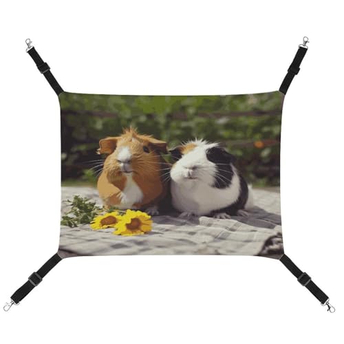 TKJMCSW Meerschweinchen Lustige Katzenkäfig Hängematte Katzenhängematte für Käfig Ratten Hängematte Frettchen Hängematte Katze Hängematte für große Katzen Hängende Katzenbett Katzenhängematte Bett von TKJMCSW