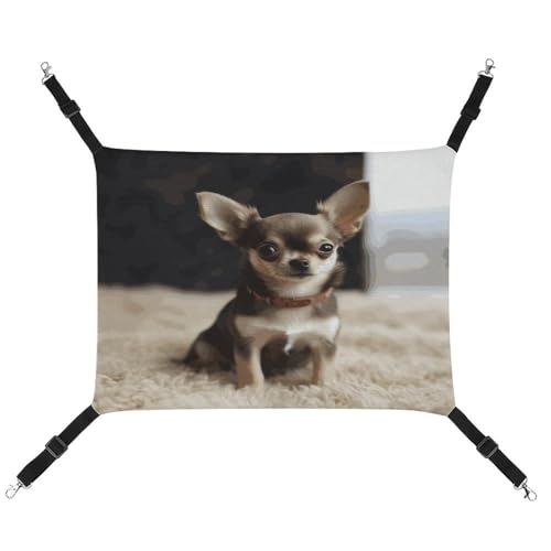 TKJMCSW Niedliche Chihuahua-Käfig-Hängematte für Käfig-Ratten-Hängematte, Frettchen-Hängematte, Katzenhängematte für große Katzen, hängendes Katzenbett, Katzenhängematte, Bett, Chinchilla-Hängematte, von TKJMCSW