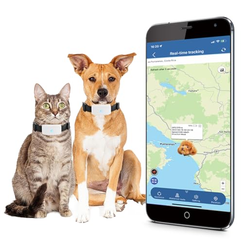 TKMARS Hunde Tracker Katzen GPS-Finder, Echtzeit-Tracking, 4G, GPS-Tracker für Hunde, mit Sicherheitszaun, Alarm mit Ton und Licht, um Tiere zu Finden, wasserdicht, TK911Pro ohne ABO TKMARS Hunde Tracker Katzen GPS-Finder, Echtzeit-Tracking, 4G, GPS-Tracker für Hunde, mit Sicherheitszaun, Alarm mit Ton und Licht, um Tiere zu Finden, wasserdicht, TK911Pro ohne ABO von TKMARS