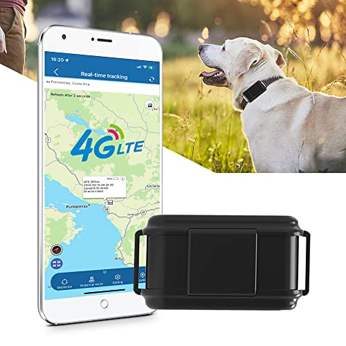 TKMARS TK919 4G GPS Gerät Hunde mit Leine, 3000mah Batterie, Schallalarm, Mehrfacher Alarm Tracker mit Echtzeit Tracking, Arbeitet über SMS/APP/Web Plattform ohne ABO, Geeignet für Hund/große Hunde von TKMARS