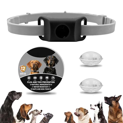Clavya Tags for Dogs, Clavya Natural Collar for Dog, Clavyas Dog Tags Ingredients Waterproof Collar Dogs, Fits Every Dogss, for Rain, Mud, River, Swim (Black) von TKNIBEEN