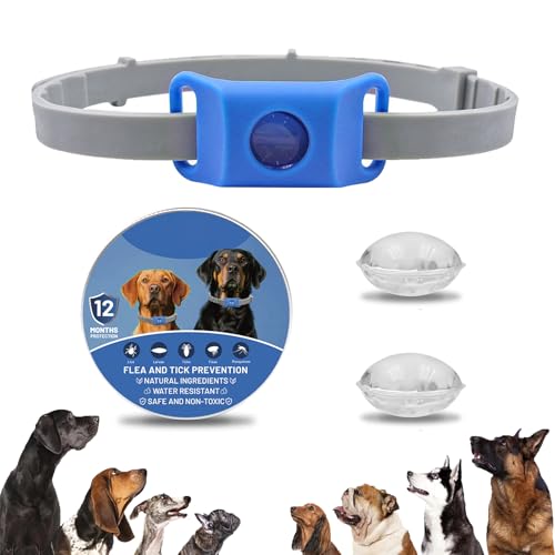 Clavya Tags for Dogs, Clavya Natural Collar for Dog, Clavyas Dog Tags Ingredients Waterproof Collar Dogs, Fits Every Dogss, for Rain, Mud, River, Swim (Blue) von TKNIBEEN