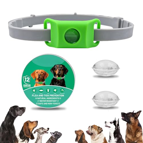 Clavya Tags for Dogs, Clavya Natural Collar for Dog, Clavyas Dog Tags Ingredients Waterproof Collar Dogs, Fits Every Dogss, for Rain, Mud, River, Swim (Green) von TKNIBEEN