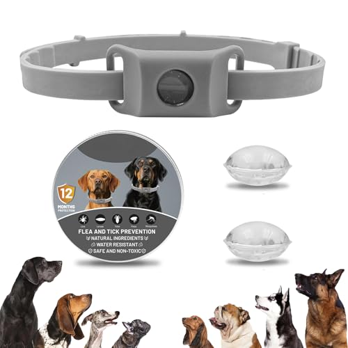Clavya Tags for Dogs, Clavya Natural Collar for Dog, Clavyas Dog Tags Ingredients Waterproof Collar Dogs, Fits Every Dogss, for Rain, Mud, River, Swim (Grey) von TKNIBEEN