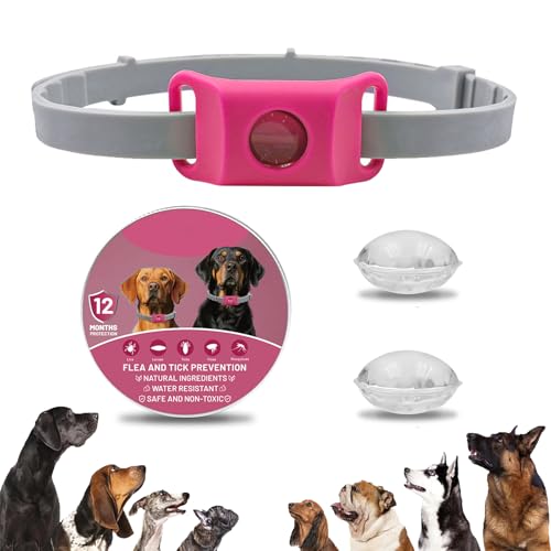 Clavya Tags for Dogs, Clavya Natural Collar for Dog, Clavyas Dog Tags Ingredients Waterproof Collar Dogs, Fits Every Dogss, for Rain, Mud, River, Swim (pink) von TKNIBEEN