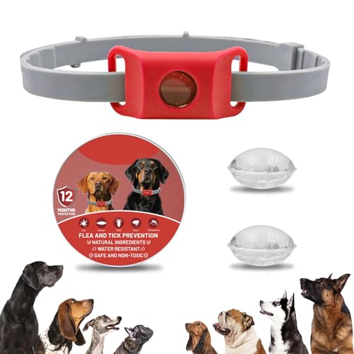 Clavya Tags for Dogs, Clavya Natural Collar for Dog, Clavyas Dog Tags Ingredients Waterproof Collar Dogs, Fits Every Dogss, for Rain, Mud, River, Swim (red) von TKNIBEEN