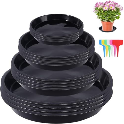 16 Stück Blumentopf Untersetzer Topfuntersetzer Pflanzen Untersetzer Blumentöpfe Pflanzenuntersetzer Rund Plastik Blumenuntersetzer mit 18 Etikett für Innen und Außenpflanzen Pflanzentopf (4 Größen) 16 Stück Blumentopf Untersetzer Topfuntersetzer Pflanzen Untersetzer Blumentöpfe Pflanzenuntersetzer Rund Plastik Blumenuntersetzer mit 18 Etikett für Innen und Außenpflanzen Pflanzentopf (4 Größen) von TLDNZXY