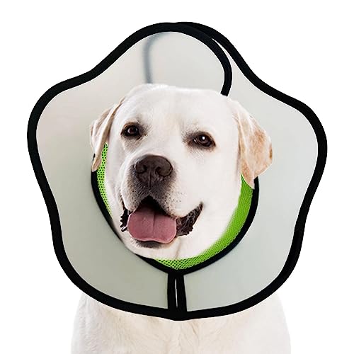 Hundehütchen für große Hunde - Verstellbares Hundekegelhalsband für Hunde nach Operationen - Bequemer, weicher, Flexibler Kegel für Hunde nach Operationen, Genesungshalsband für Hunde, Tlm toys von TLM Toys