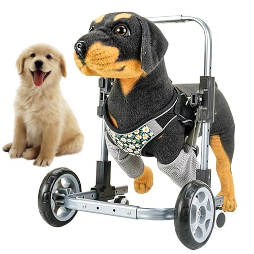 TLTLT Hunderollstuhl, 4-Rad-Hunderollstuhl-Gehhilfe, Volle Unterstützung for Die Vorderbeine des Hundes, Unterstütztes Gehen Von Haustieren Mit Behinderungen L:max33cm(L:max33cm) von TLTLT