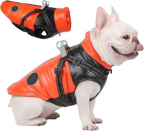 wasserdichte Hundejacke mit Geschirr - Reflektierender Warmer Wintermantel for kleine, mittelgroße und große Hunde, verstellbare Weste for kaltes Wetter, winddichter Regenmantel - Blau, Größe S(Oran von TLTLT