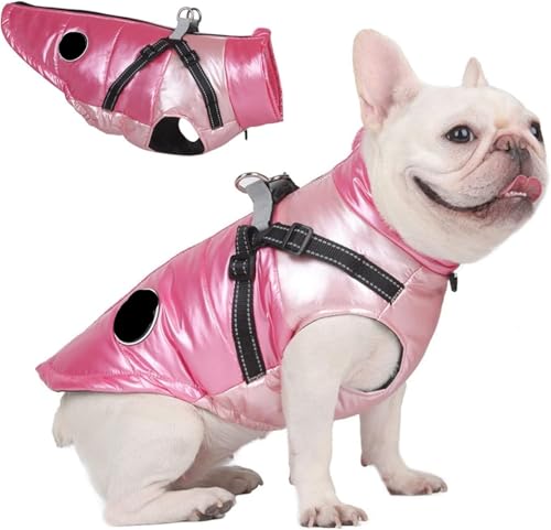 wasserdichte Hundejacke mit Geschirr - Reflektierender Warmer Wintermantel for kleine, mittelgroße und große Hunde, verstellbare Weste for kaltes Wetter, winddichter Regenmantel - Blau, Größe S(Pink von TLTLT