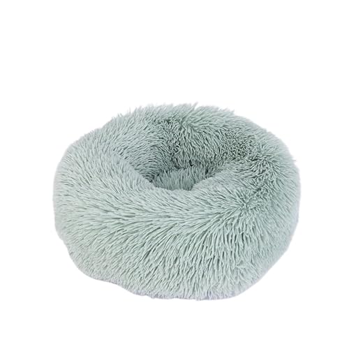 TMAOZW Katzen-/Hundekissen, Bett, Relief, Katzenbedarf for Hauskatzen, geeignet for den Innenbereich, auf der Seite, auf dem Boden, Garten(Green,50X50 (within 5kg)) von TMAOZW