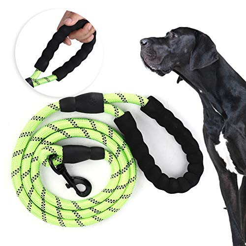 TMISHION Haustier-Traktionsseil, Hund, Outdoor-Training, Gehkette, Sicherheitsseil, Haustier-Nylon, Reflektierend, Zum Laufen, Zugleine für Welpen, Mittelgroße und Große Hunde (Grün) von TMISHION