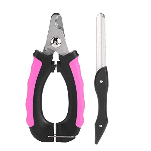 TMISHION Haustier-Nagelknipser, Professionelles, Sicheres Metall-Hundeklauen-Nageltrimmer-Pflegewerkzeug, Große Wassertropfenform, Katzen-Nagelknipser, Scherenschneider für Hunde und Katzen TMISHION Haustier-Nagelknipser, Professionelles, Sicheres Metall-Hundeklauen-Nageltrimmer-Pflegewerkzeug, Große Wassertropfenform, Katzen-Nagelknipser, Scherenschneider für Hunde und Katzen von TMISHION