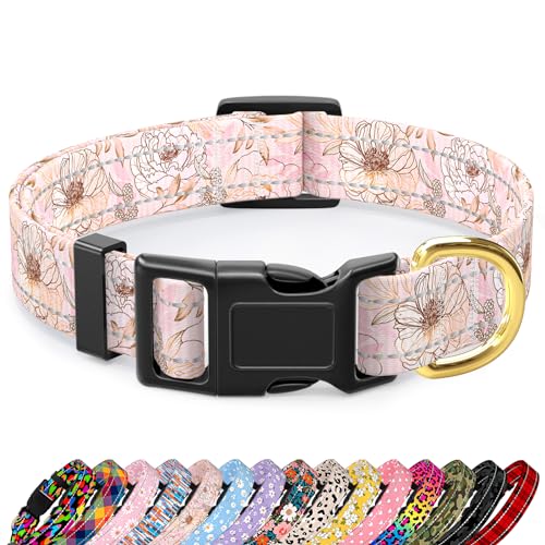 TMOODEL Reflektierendes Hundehalsband für extra kleine Hunde, niedliches Blumendesign, verstellbar, strapazierfähiges Nylon, Welpenhalsband für Jungen und Mädchen, weiches Haustierzubehör mit von TMOODEL