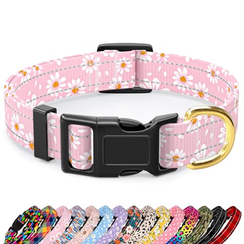 TMOODEL Reflektierendes Hundehalsband für extra kleine Hunde, niedliches Gänseblümchen-Thema, verstellbar, strapazierfähiges Nylon, Welpenhalsband für Jungen und Mädchen, weiches Haustierzubehör mit TMOODEL Reflektierendes Hundehalsband für extra kleine Hunde, niedliches Gänseblümchen-Thema, verstellbar, strapazierfähiges Nylon, Welpenhalsband für Jungen und Mädchen, weiches Haustierzubehör mit von TMOODEL
