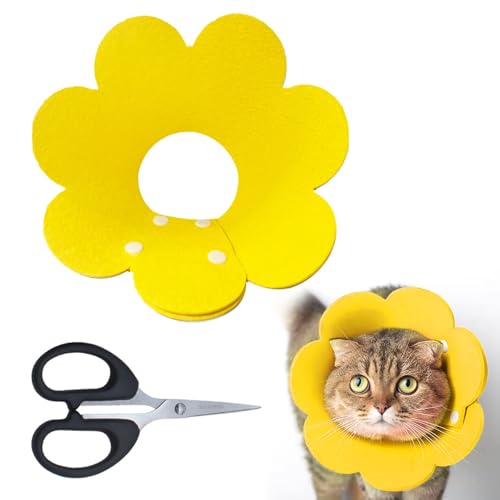 Halskrause Katze,Wiederherstellung Halsband,Einstellbarer Halskrause Katze Halsband,Weich Halskrausen für Katzen,Sonnenblume Katzen Halskrause für Nach Operationen,Für Kleine Hunde und Katzen von TMRBBesty