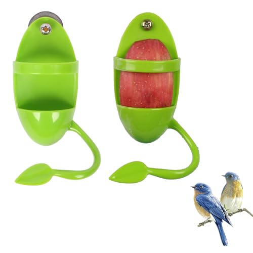 Sepiaschale Halterung, 2PCS Vogelfuttersäule Futterbehälter, Vogel Lebensmittel Halter, Wird zur Aufbewahrung von Futter, Obst, Gemüse und anderem Vogelfutter verwendet-(Grün) von TMRBBesty