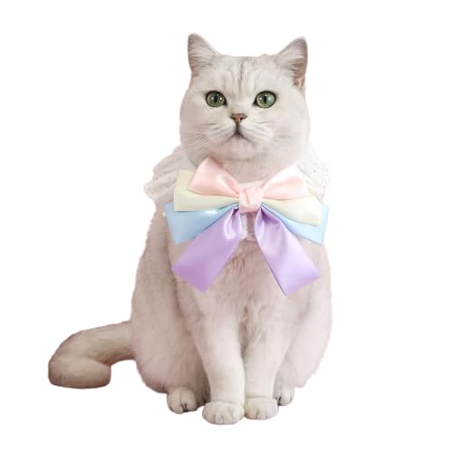 Kleines Haustierkostüm, Halsband, verstellbar, Katzenhalsband, Fliege, Hund, Urlaub, Halsbekleidung, Festival, Katzen, Spitzenhalsband Kleines Haustierkostüm, Halsband, verstellbar, Katzenhalsband, Fliege, Hund, Urlaub, Halsbekleidung, Festival, Katzen, Spitzenhalsband von TNNOKL
