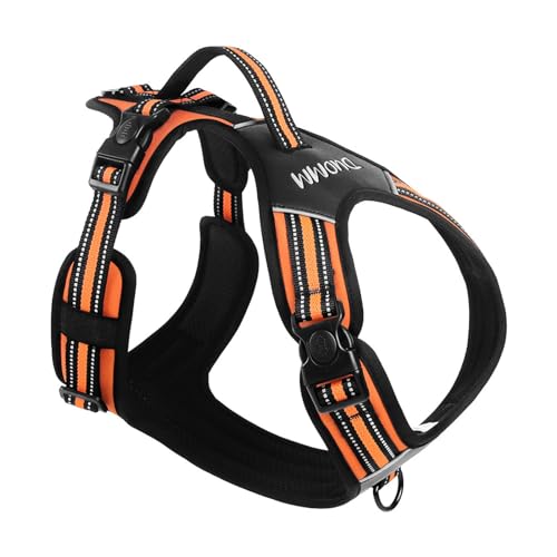 Komfortable reflektierende Brust- und Schultergurte für Hunde und Katzen während des Trainings mit Sichtbarkeit Komfortable reflektierende Brust- und Schultergurte für Hunde und Katzen während des Trainings mit Sichtbarkeit von TNNOKL