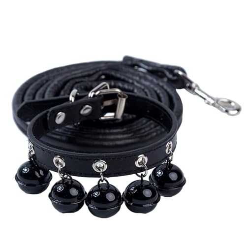 Robuste Hundeleine, ausbruchsicher, für kleine und große Hunde, Freizeittraining im Freien, 120 cm Robuste Hundeleine, ausbruchsicher, für kleine und große Hunde, Freizeittraining im Freien, 120 cm von TNNOKL